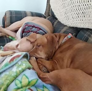 Meet your Posher, Norma